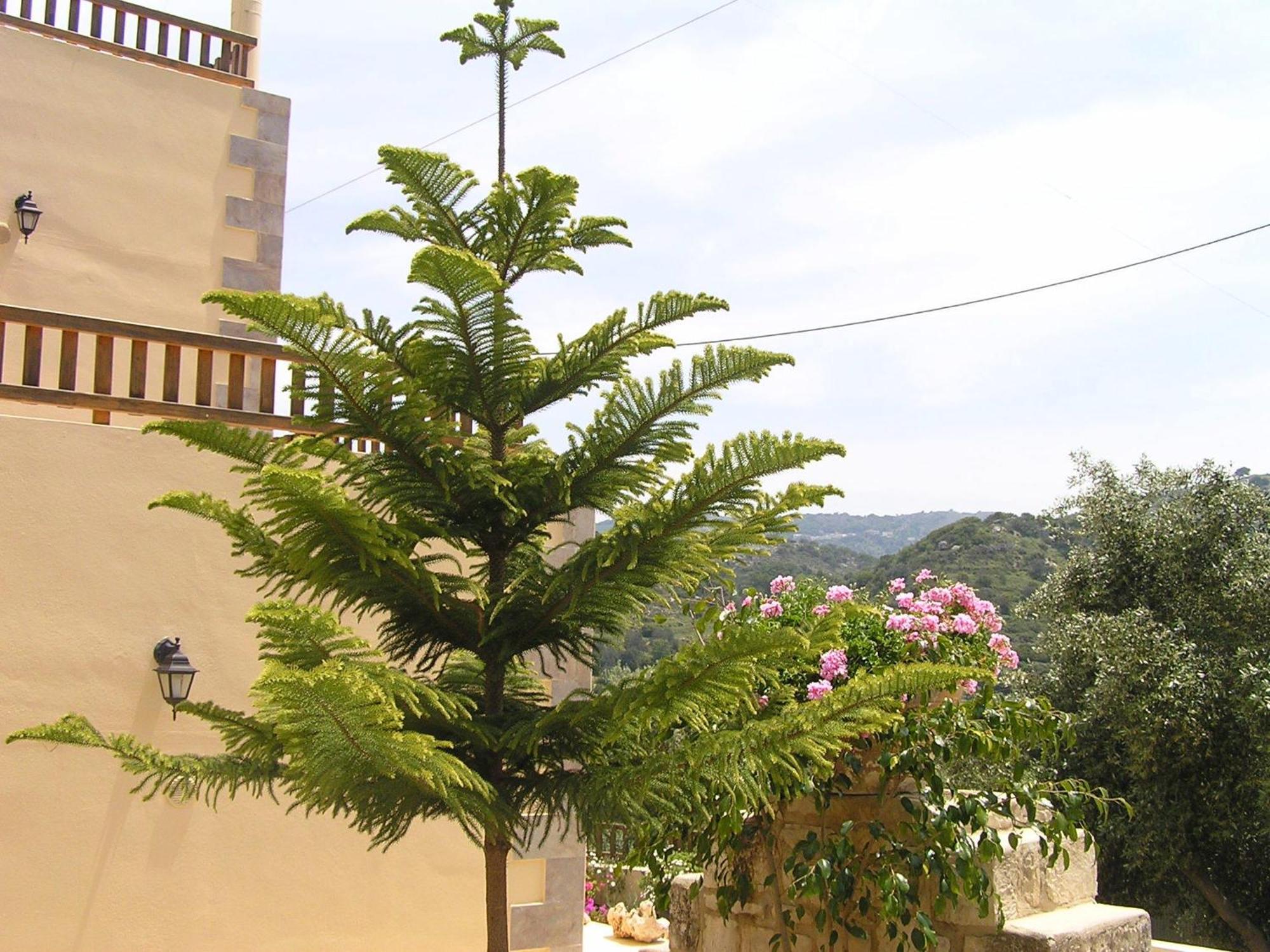 Stratos Villas Kaloniktis ภายนอก รูปภาพ